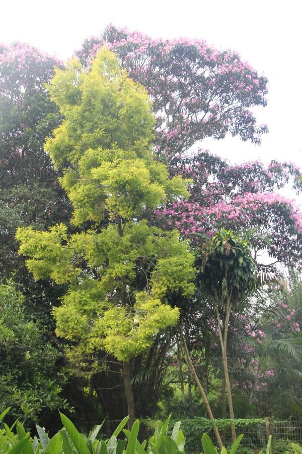 Le Residence De Josephine คลูฟ ภายนอก รูปภาพ